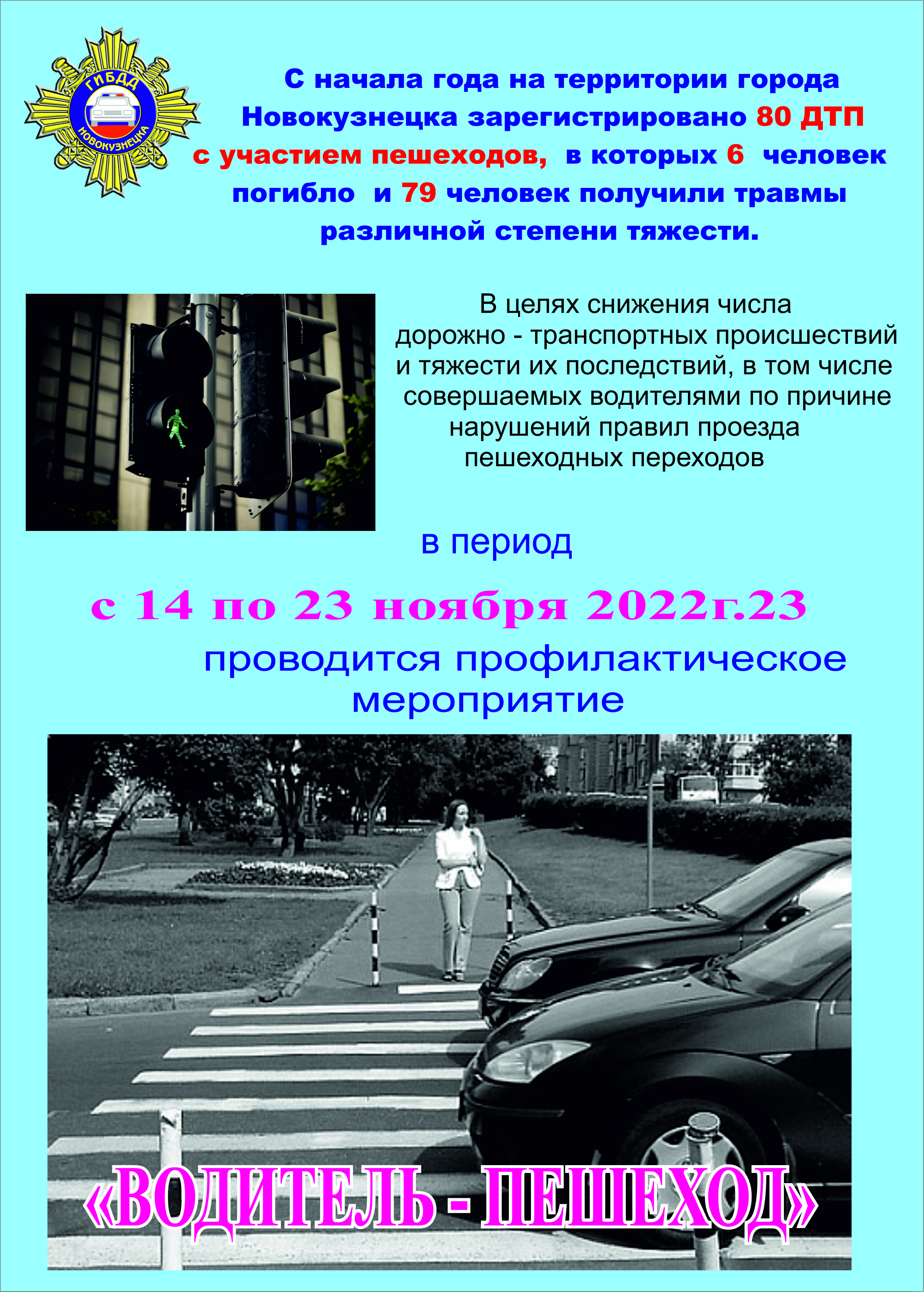 ВОДИТЕЛЬ - ПЕШЕХОД